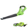 Greenworks 40V 150 MPH Variable Speed Cordless Blower, 2.0 AH Battery Included 24252 (Renewed)