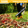 TECCPO 20V 310CFM Lightweight Cordless Leaf Blower With Variable Speed Control, 2.0 AH Lithium Battery Included - TDAB02G